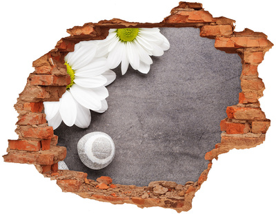 Hole in the wall decal A floral dream in concrete