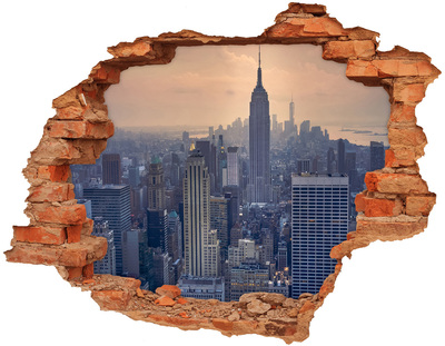 Hole in the wall sticker View of New York