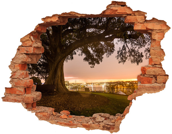 3D wall hole wallpaper View of the city through a hole in the wall