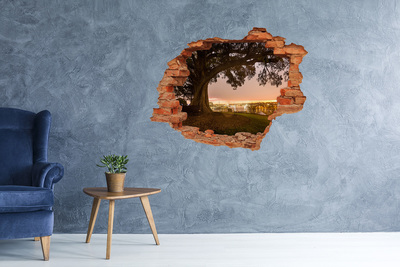 3D wall hole wallpaper View of the city through a hole in the wall