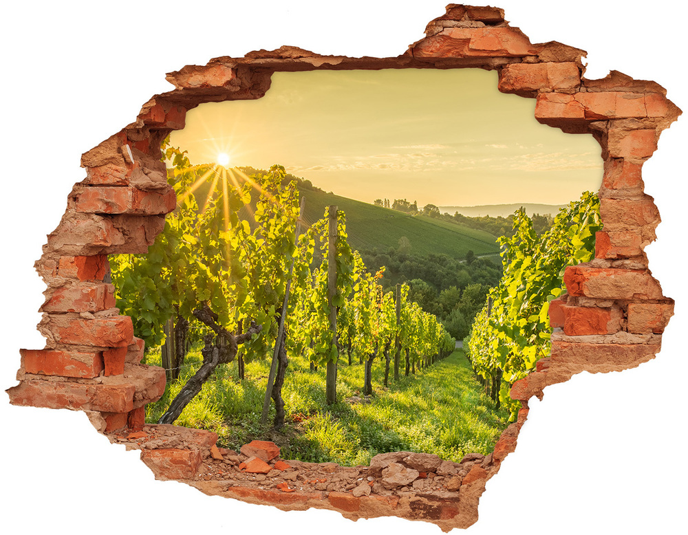 3D wall hole wallpaper Vineyard