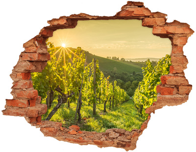 3D wall hole wallpaper Vineyards in the sun