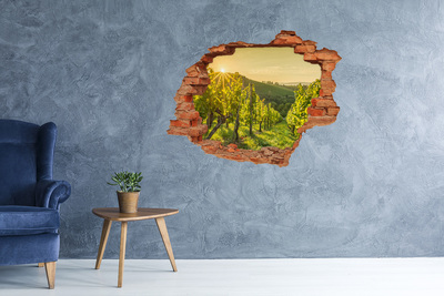 3D wall hole wallpaper Vineyards in the sun