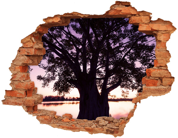 Hole wall sticker Sunset behind the tree