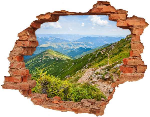 Hole wall sticker Mountain landscape with a path