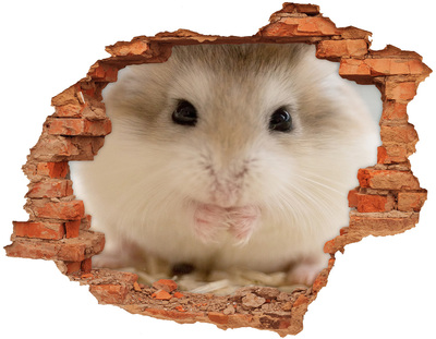 Hole in the wall decal Hamster