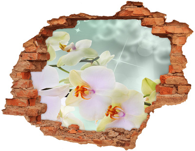 Hole in the wall decal White orchid