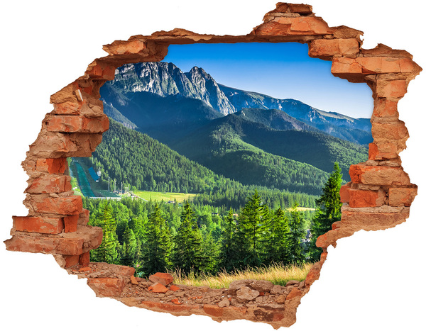 Hole in the wall decal Mountain landscape through a hole in the wall