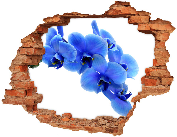 Hole in the wall sticker Blue orchid