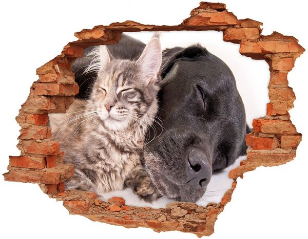 3D wall hole Dog with a cat