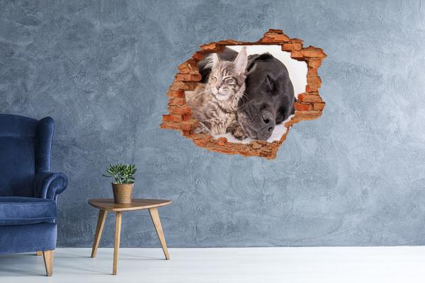 3D wall hole Dog with a cat