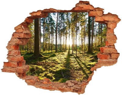 Hole wall sticker Forest glade in the morning
