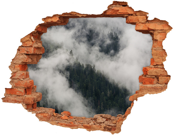 Hole wall sticker Green valley in the clouds