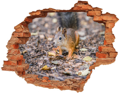 Hole wall sticker Squirrel in the forest