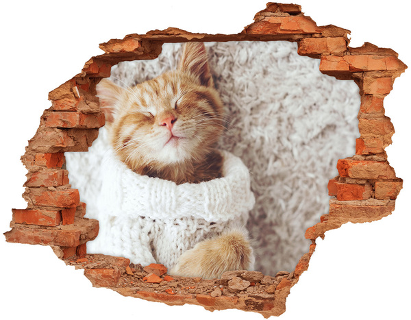 3D wall hole wallpaper Cute cat in a sweater