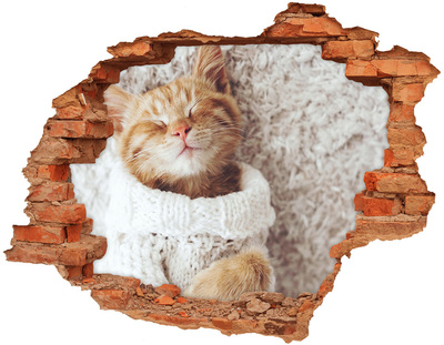 3D wall hole wallpaper Cute cat in a sweater