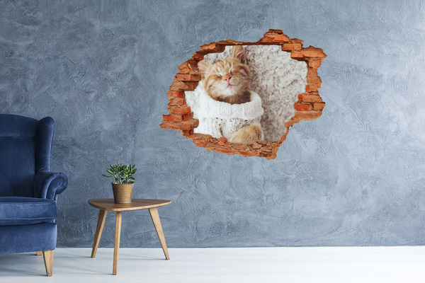 3D wall hole wallpaper Cute cat in a sweater