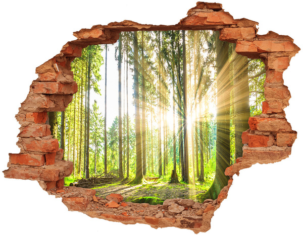 3D wall hole wallpaper Forest glade in the sunshine