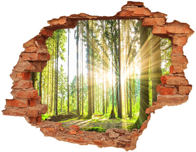 3D wall hole wallpaper Forest glade in the sunshine