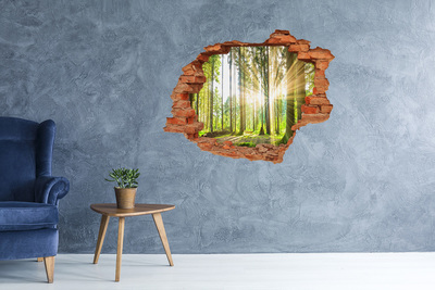3D wall hole wallpaper Forest glade in the sunshine