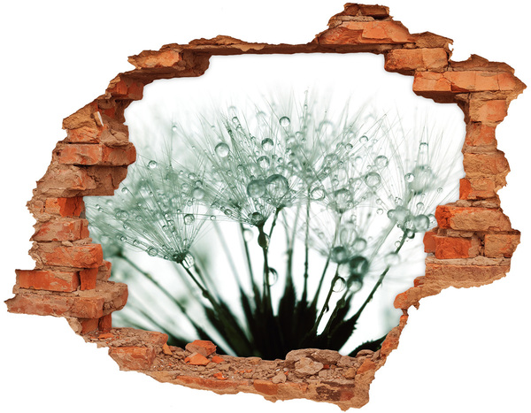 Hole wall sticker A floral dream behind the wall