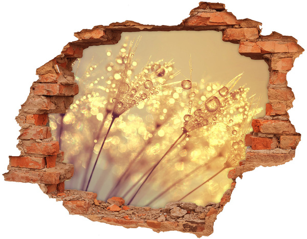 3D wall hole wallpaper Golden meadows in the sunlight