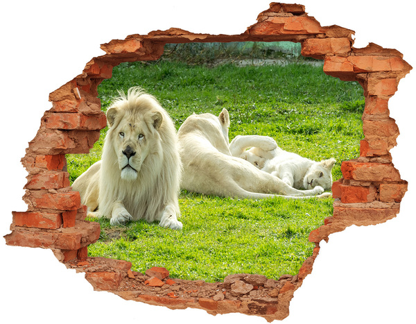 Hole wall sticker White lion in its natural habitat