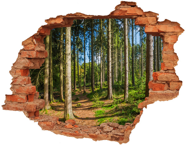 Hole in the wall sticker A forest path in the thicket of trees