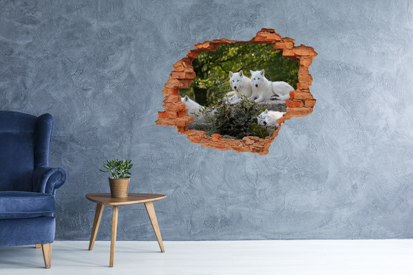Hole wall sticker Arctic Wolves in a Natural Habitat