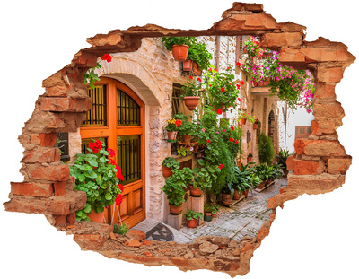 3D wall hole A charming street with flowers