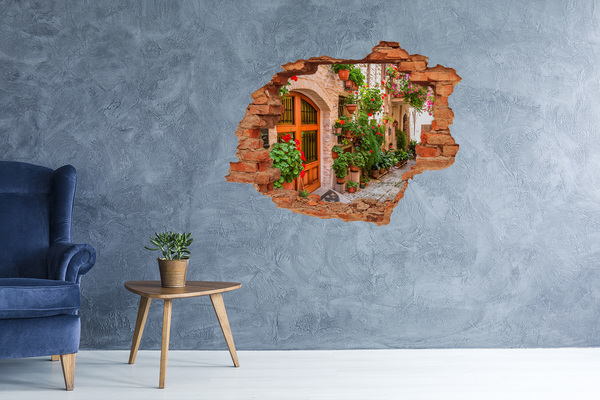 3D wall hole A charming street with flowers