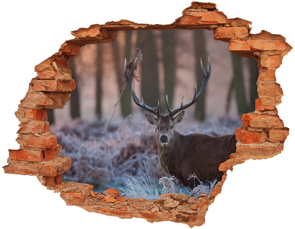 Hole wall sticker Deer in the forest