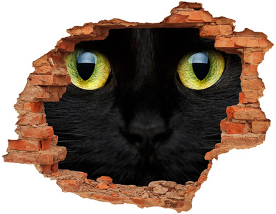 3D wall hole Black cat through a hole in the wall