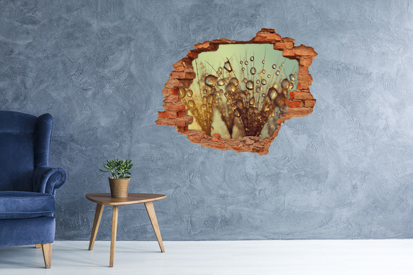 3D wall hole Drops on delicate hairs