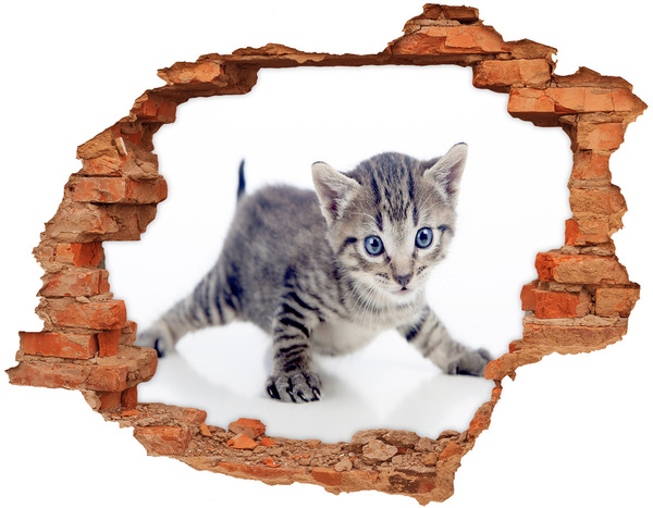 Hole in the wall decal Kitten in a hole in the wall