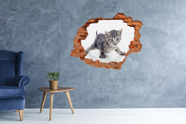 Hole in the wall decal Kitten in a hole in the wall