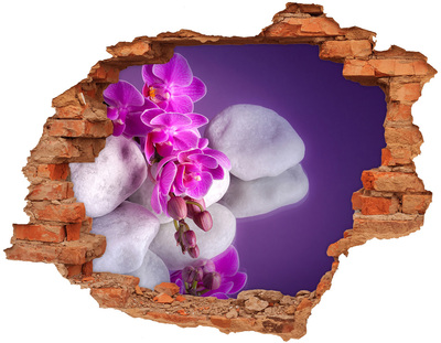 Hole wall sticker Orchids on a background of stones