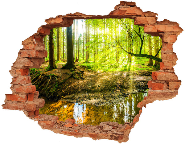 Hole wall sticker A forest oasis of peace