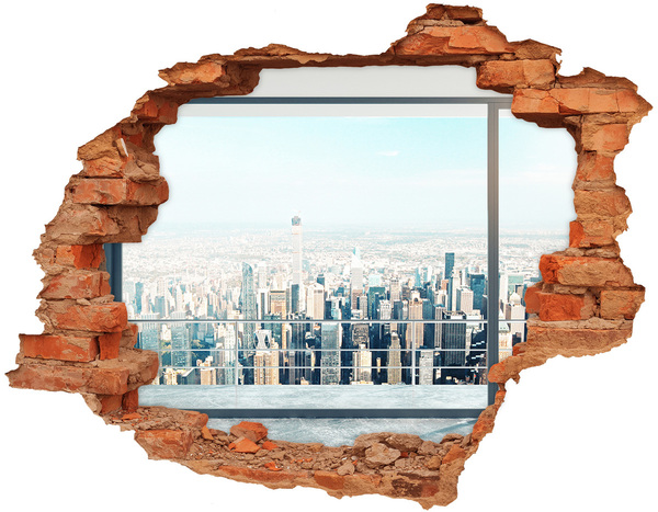 Hole wall sticker View of New York