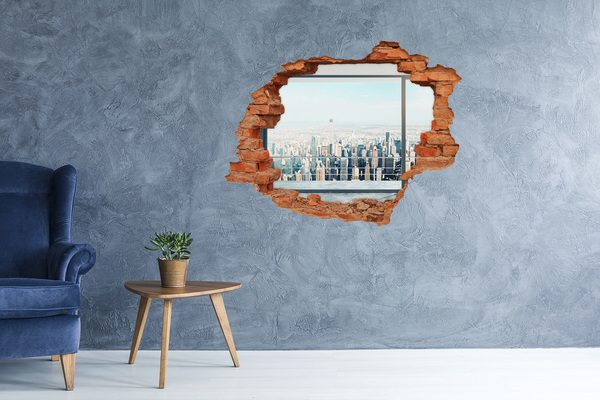Hole wall sticker View of New York