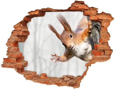 Hole in the wall decal Squirrel in action