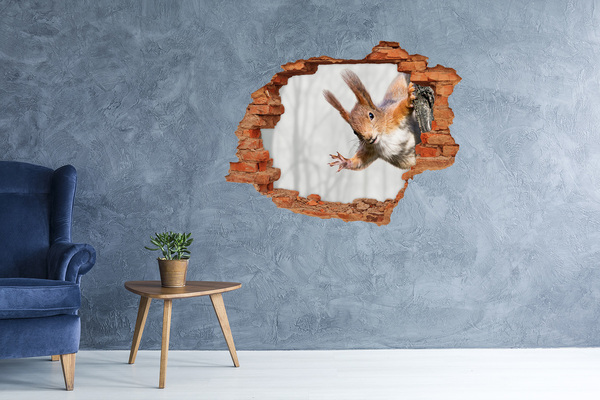 Hole in the wall decal Squirrel in action