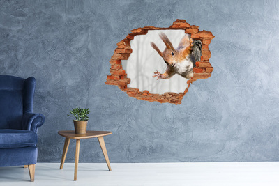Hole in the wall decal Squirrel in action