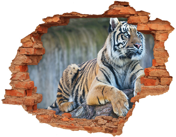 Hole in the wall decal Tiger in the wild