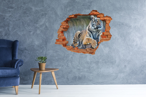 Hole in the wall decal Tiger in the wild