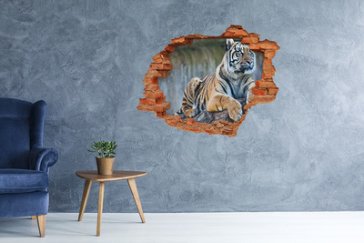 Hole in the wall decal Tiger in the wild