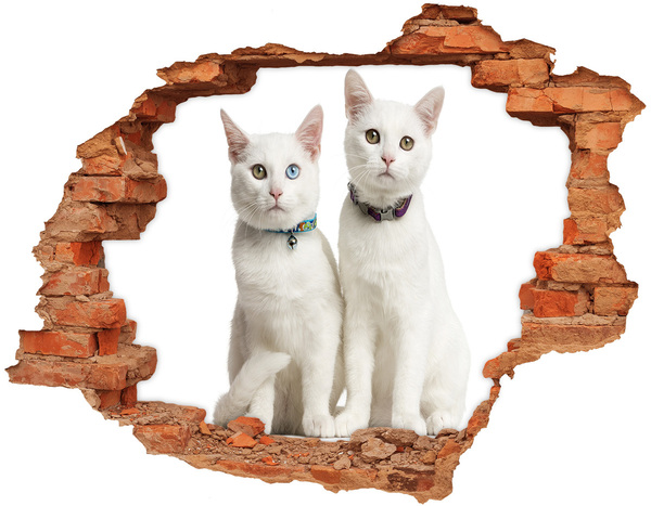 Hole in the wall decal Two white cats in a hole in the wall