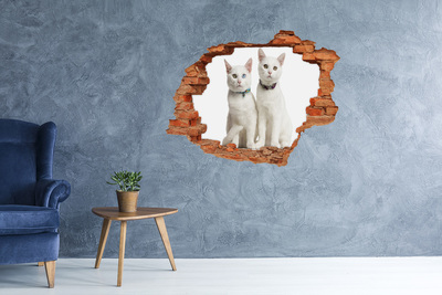 Hole in the wall decal Two white cats in a hole in the wall