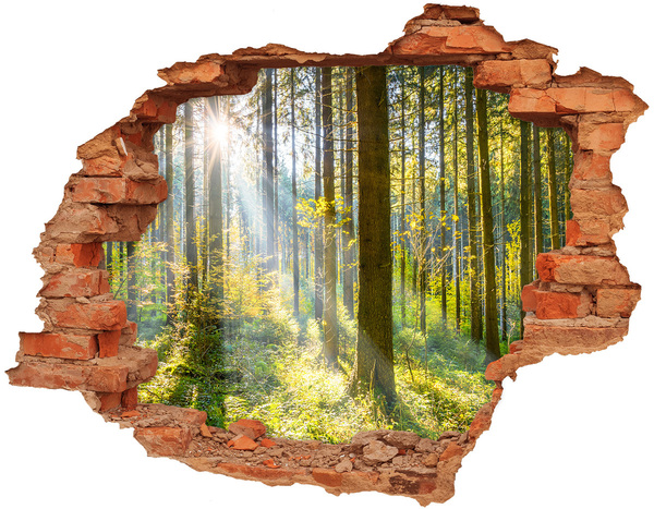 Hole wall sticker Forest oasis of light