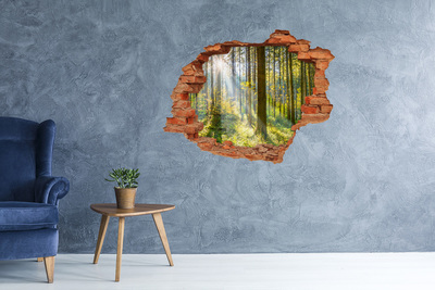 Hole wall sticker Forest oasis of light